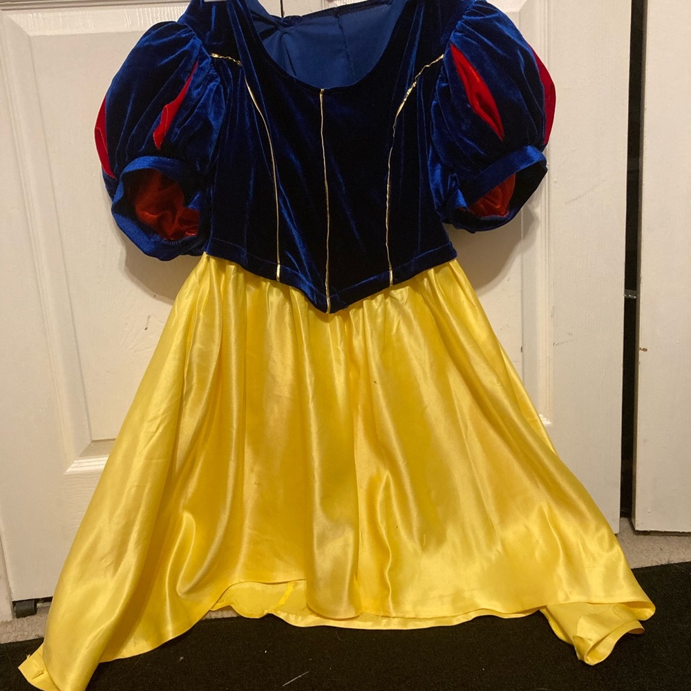 Snow White costume from HalloweenCostumes.com Dress only